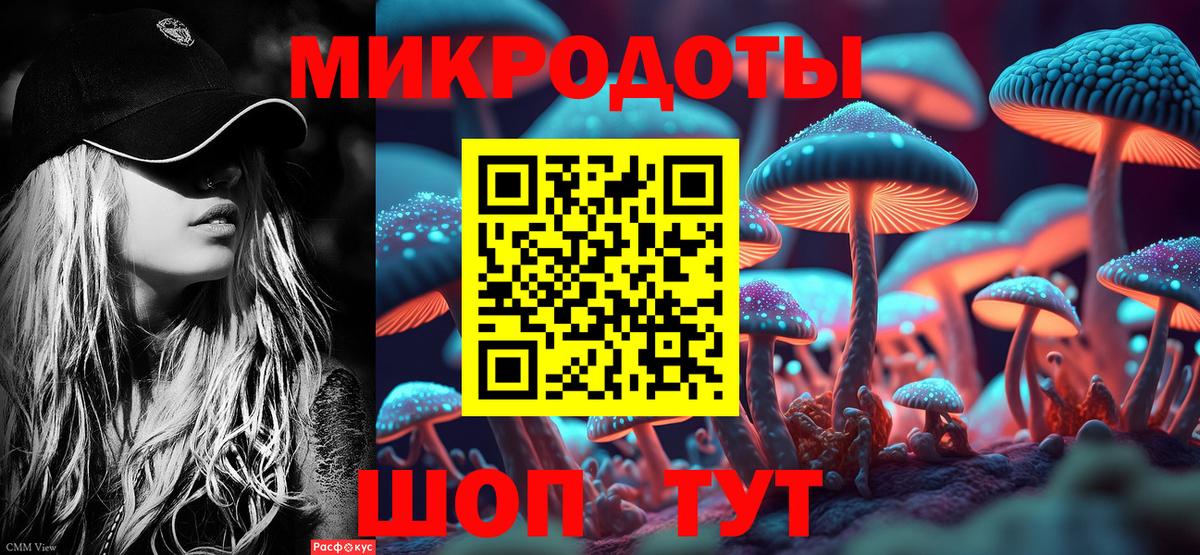 Галлюциногенные грибы прущие грибы Кирово-Чепецк
