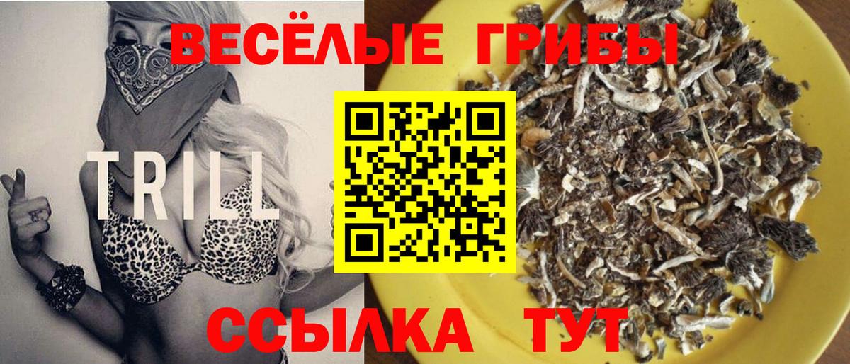 Кирово-Чепецк  Псилоцибиновые грибы Magic Shrooms  Вход с VPN 